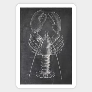 Lobster Chalkboard Sticker